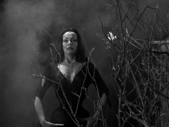 Plan-9-from-Outer-Space-film-movie-1959-horror-sci-fi-fantascienza-vampira-maila-nurmi