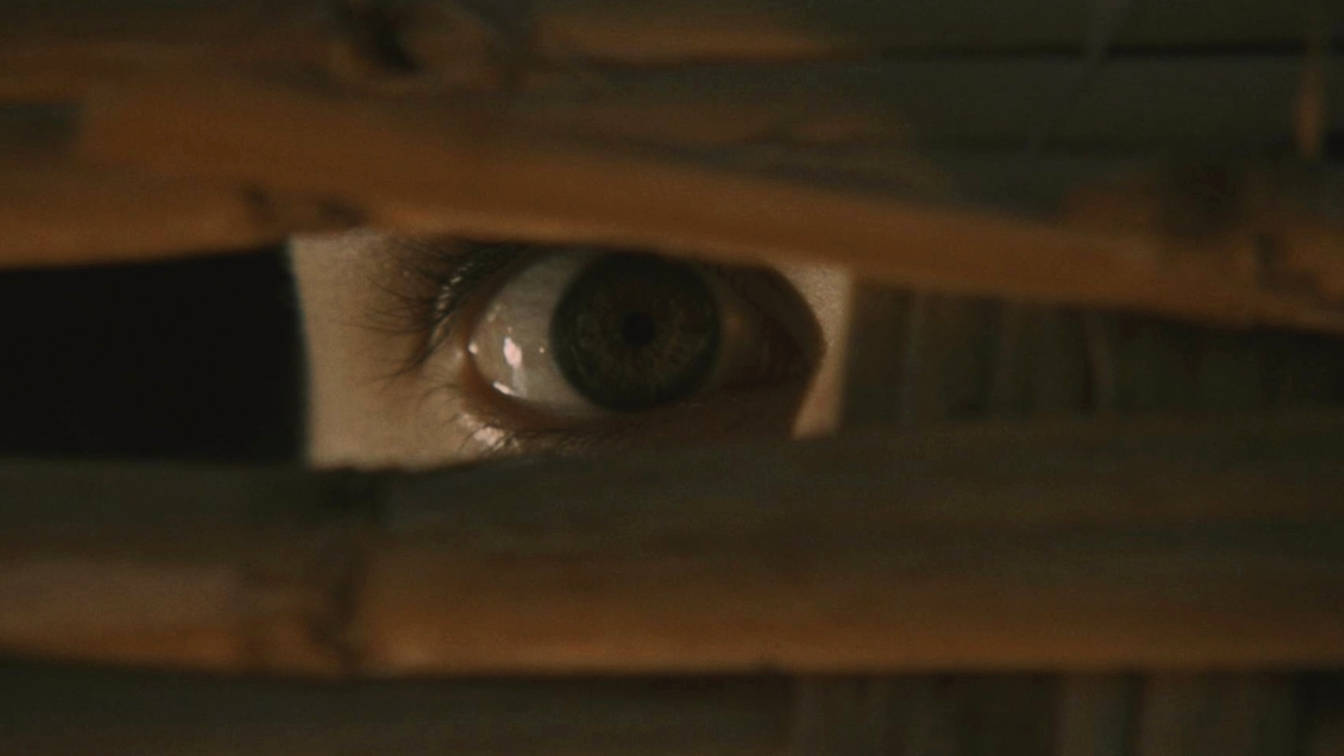 Reazione-a-Catena-Ecologia-del-delitto-A-Bay-of-Blood-film-movie-1971-thriller-giallo-mario-bava-occhio-eye