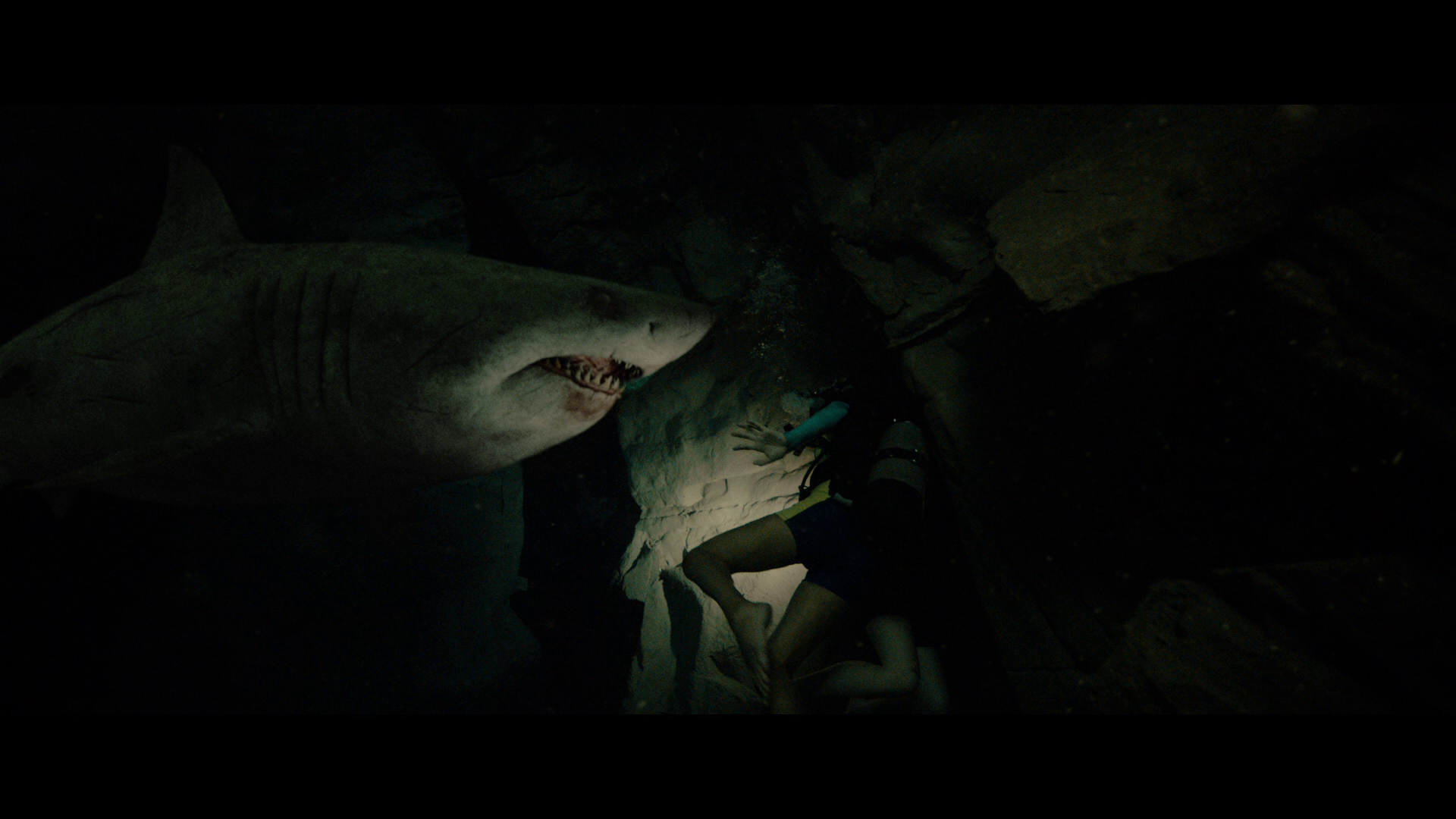 47-metri-uncaged-47-meters-down-uncaged-film-movie-2019-horror-sharks